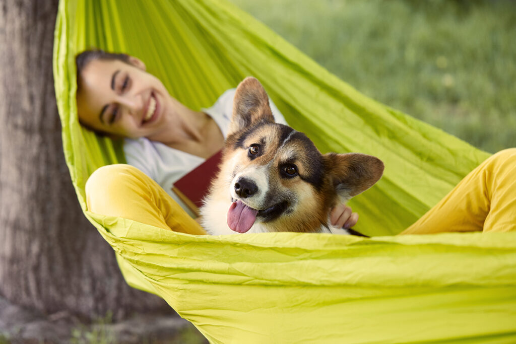 chien camping isere