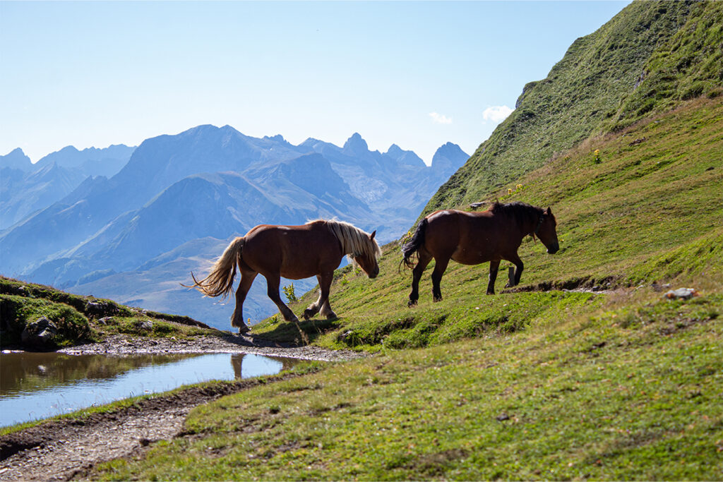 excursion a cheval isere