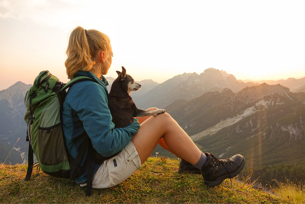 montagne chien isere